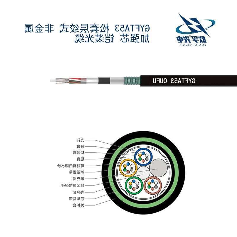 宝山区GYFTA53光缆