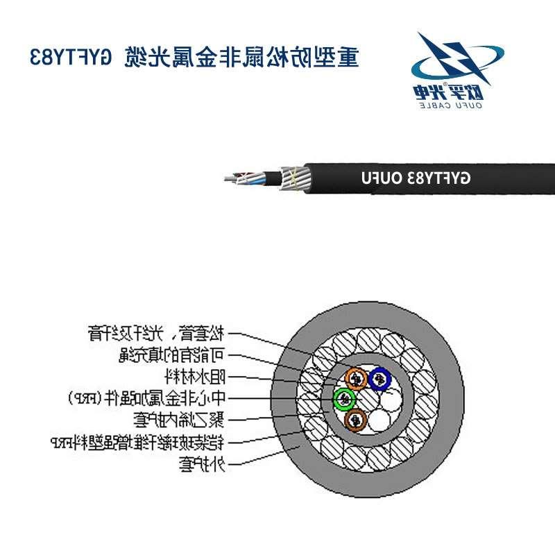 乌兰察布市防鼠咬GYFTY83光缆